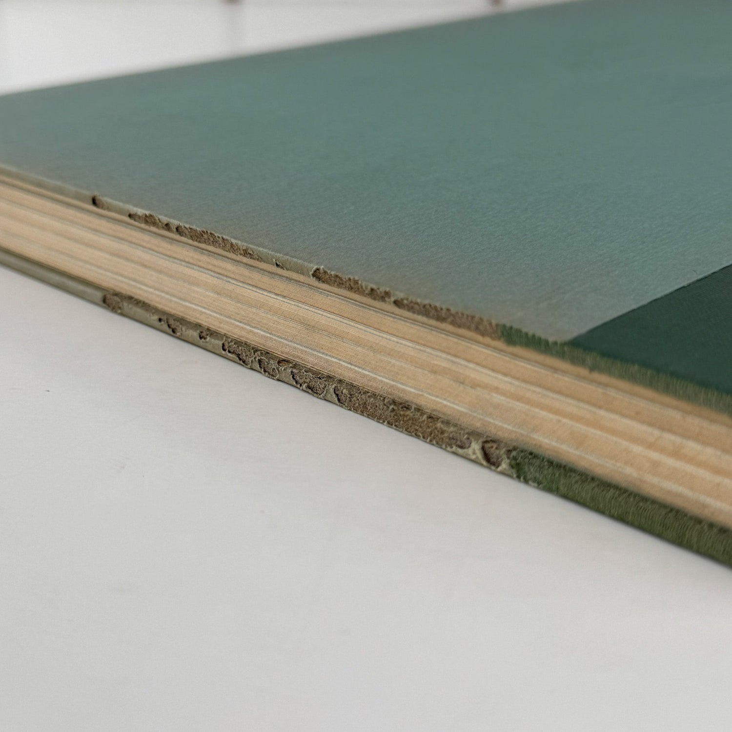 American Water and Game Birds, Austin Rand, 1956, Illustrated in Color - Pretty Old Books