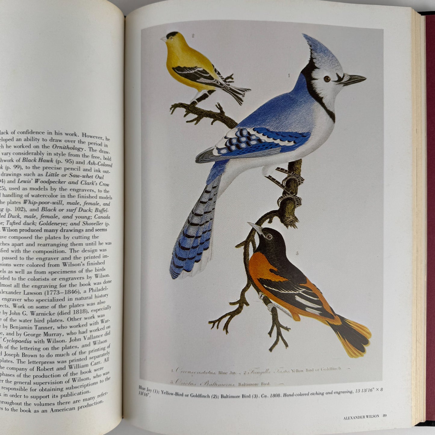 American Wildlife Painting, 1975, Fuertes, Audubon, Heade, Wilson, Thayer, Catesby - Pretty Old Books