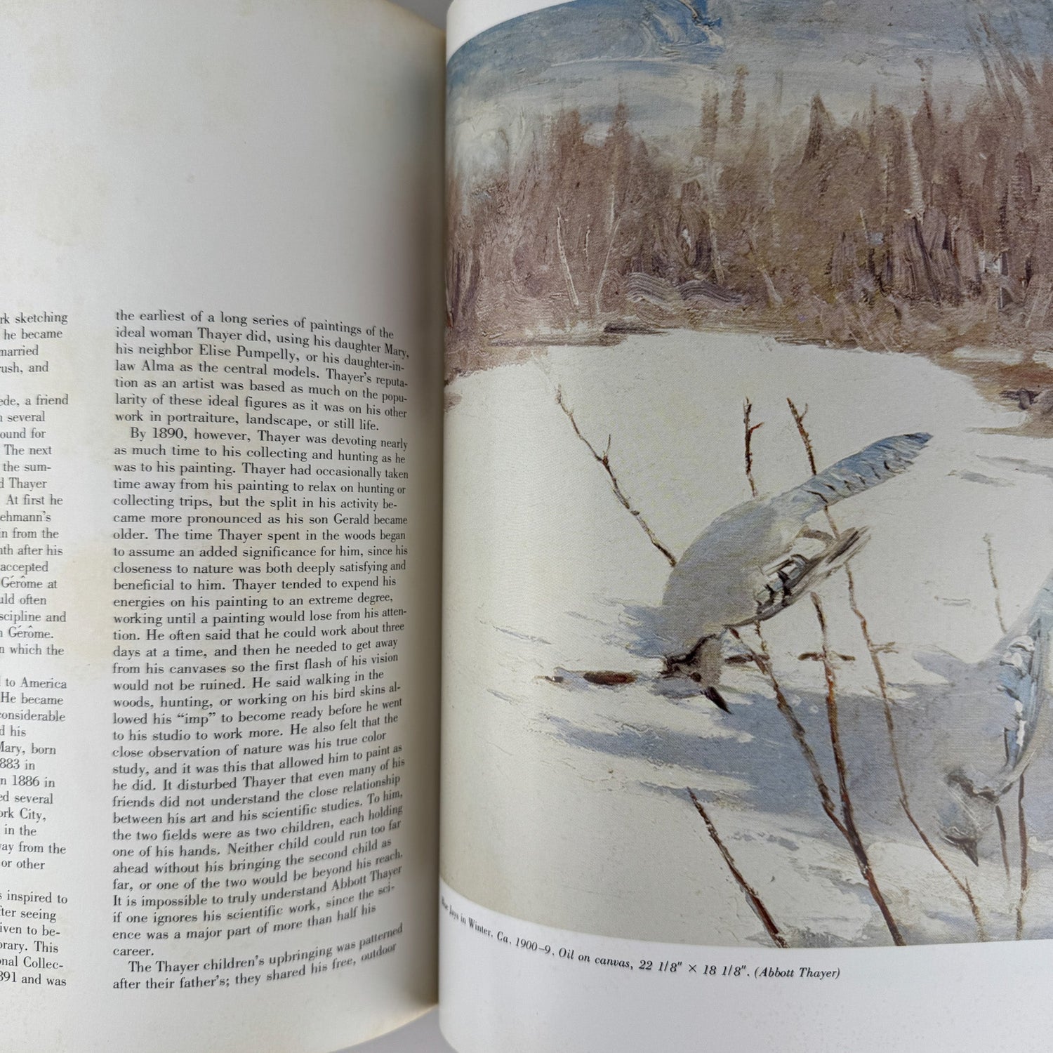 American Wildlife Painting, 1975, Fuertes, Audubon, Heade, Wilson, Thayer, Catesby - Pretty Old Books