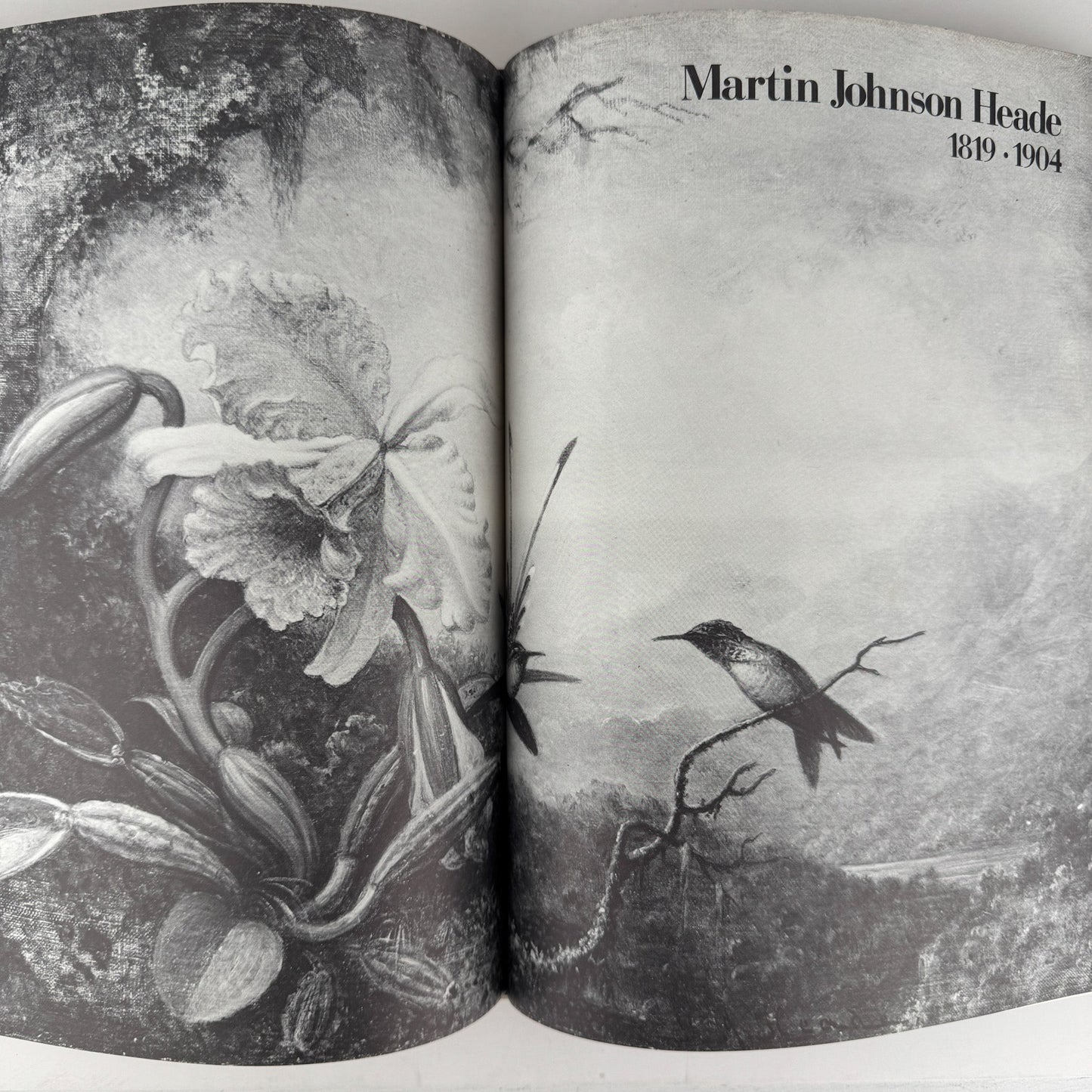 American Wildlife Painting, 1975, Fuertes, Audubon, Heade, Wilson, Thayer, Catesby - Pretty Old Books