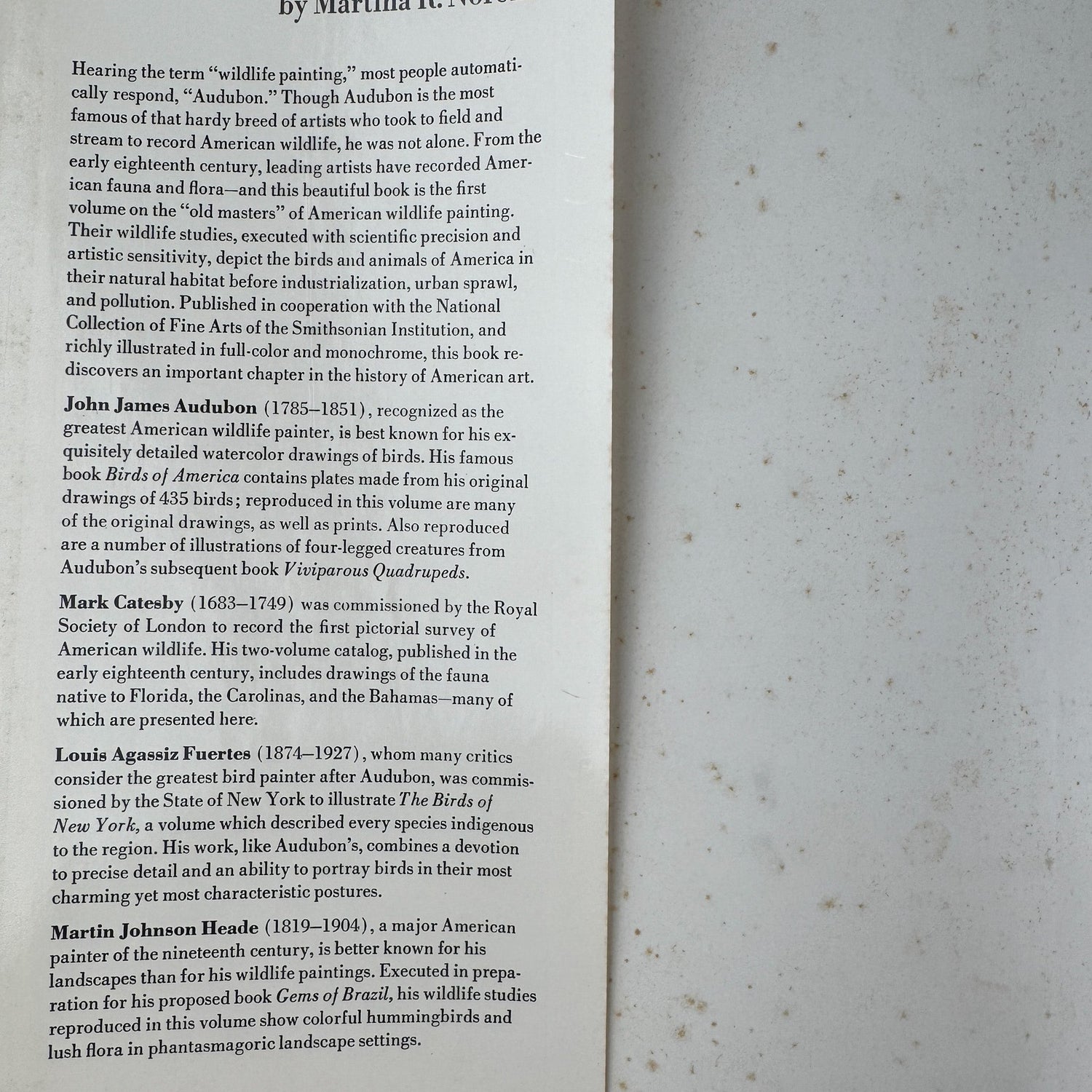 American Wildlife Painting, 1975, Fuertes, Audubon, Heade, Wilson, Thayer, Catesby - Pretty Old Books