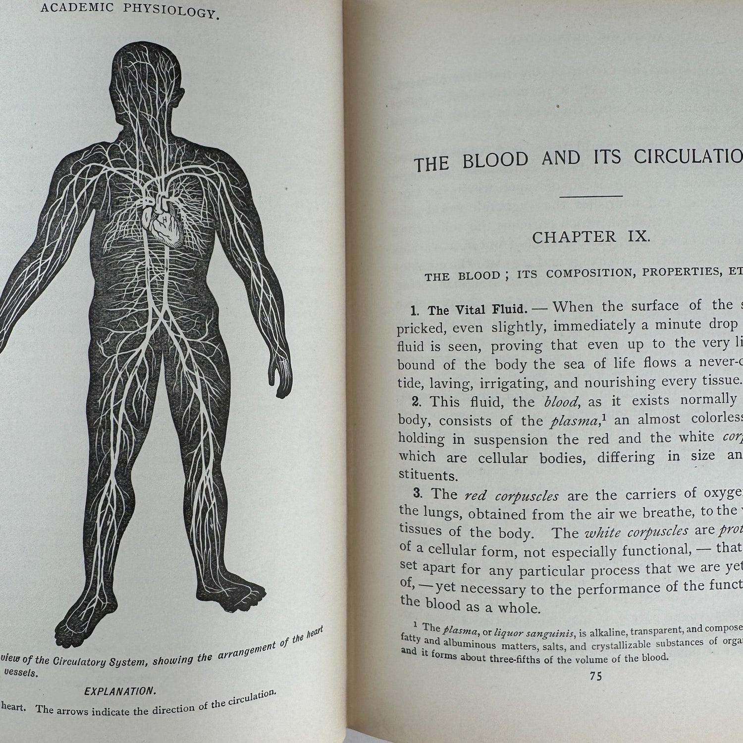 An Academic Physiology and Hygiene, 1899 Illustrated Anatomy Book - Pretty Old Books