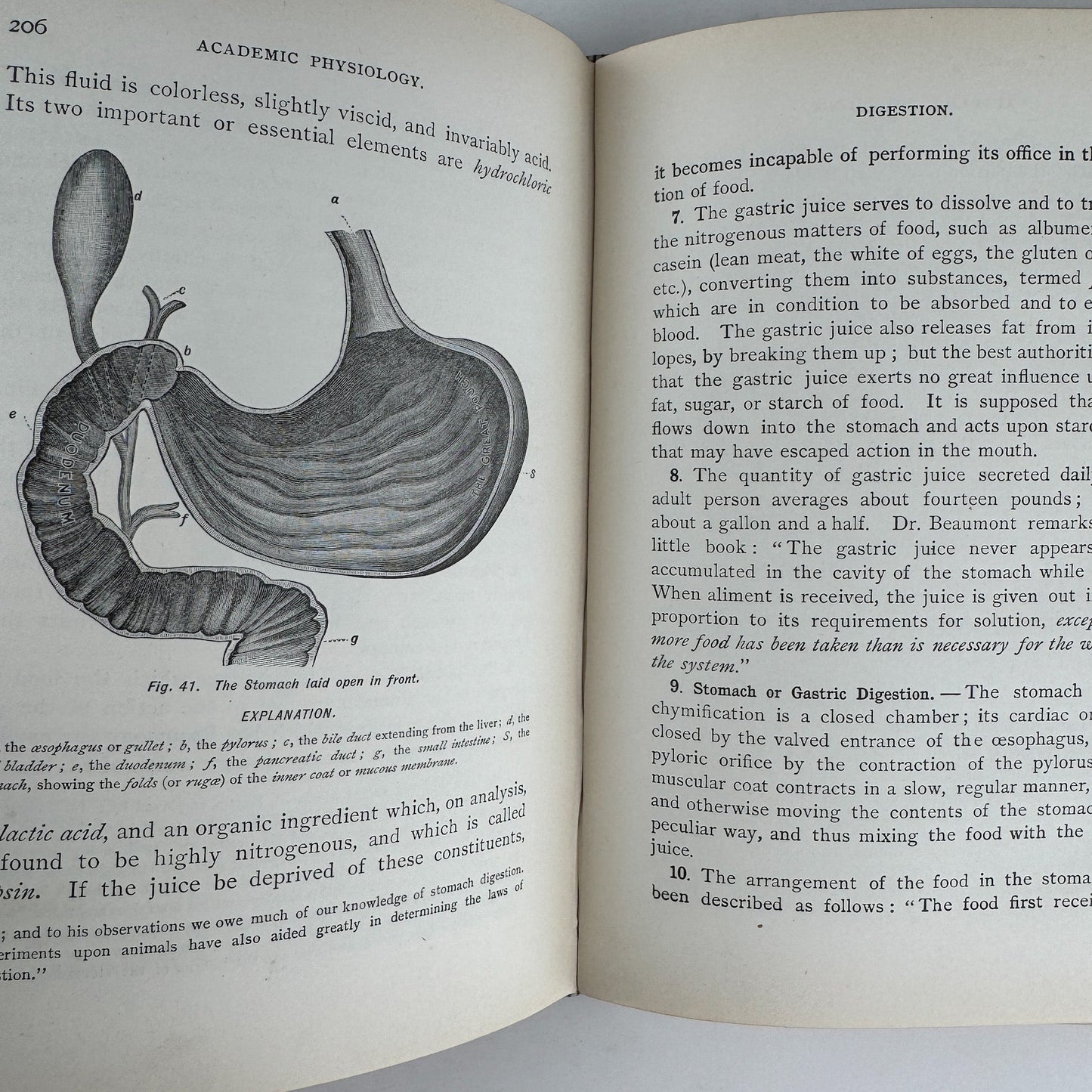 An Academic Physiology and Hygiene, 1899 Illustrated Anatomy Book - Pretty Old Books