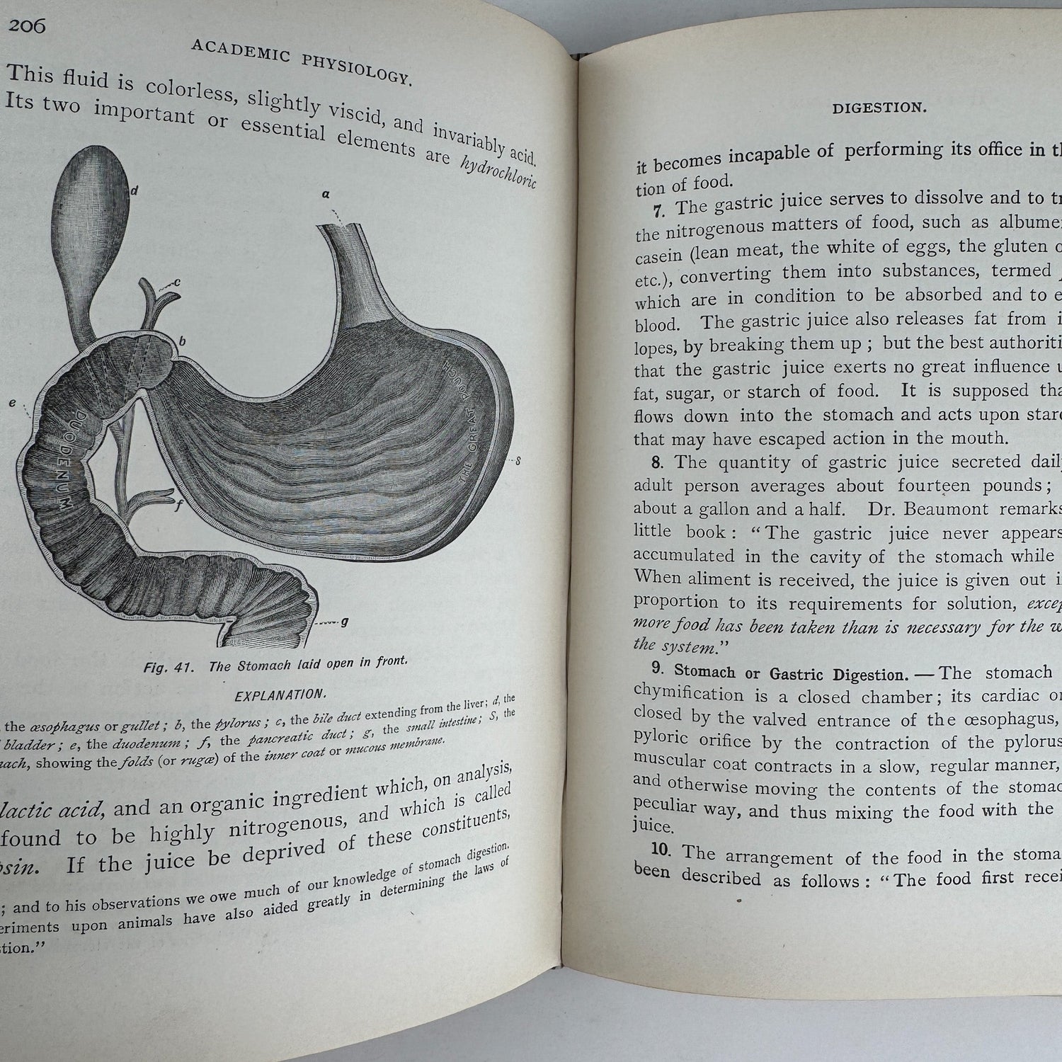 An Academic Physiology and Hygiene, 1899 Illustrated Anatomy Book - Pretty Old Books