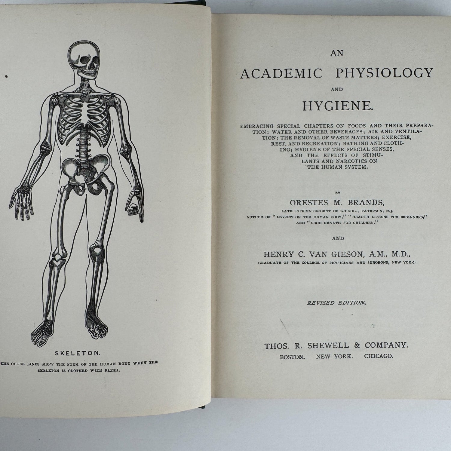 An Academic Physiology and Hygiene, 1899 Illustrated Anatomy Book - Pretty Old Books