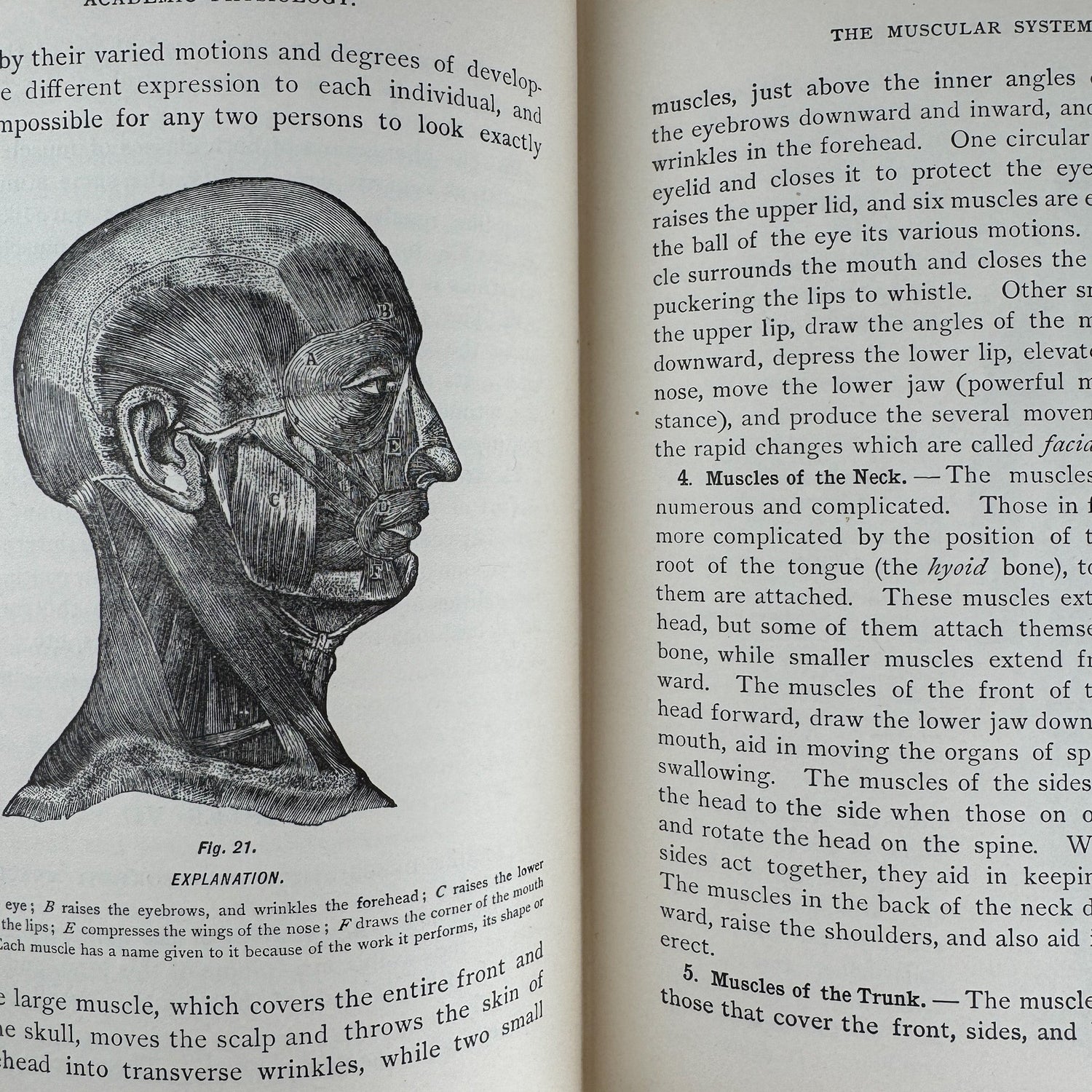 An Academic Physiology and Hygiene, 1899 Illustrated Anatomy Book - Pretty Old Books
