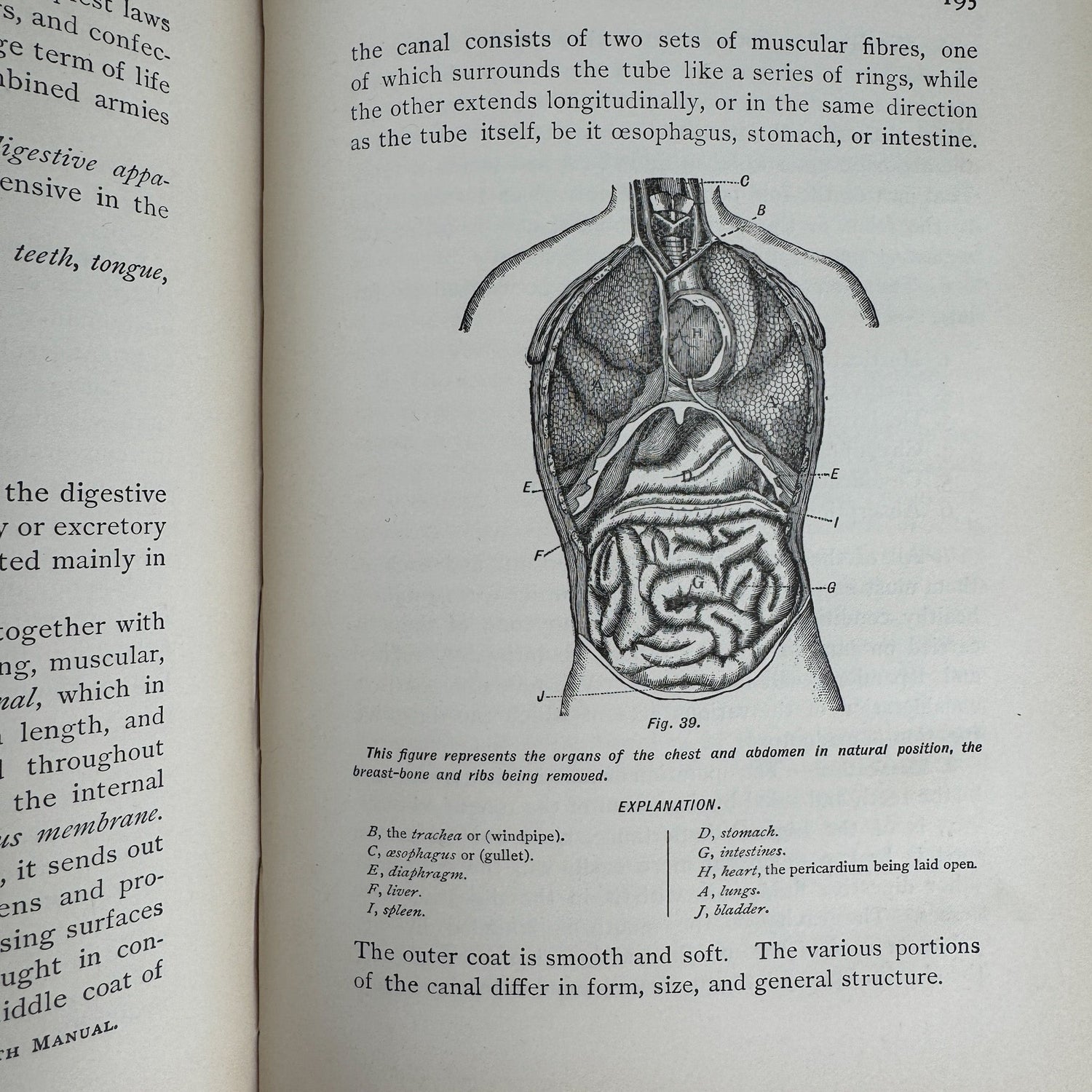 An Academic Physiology and Hygiene, 1899 Illustrated Anatomy Book - Pretty Old Books