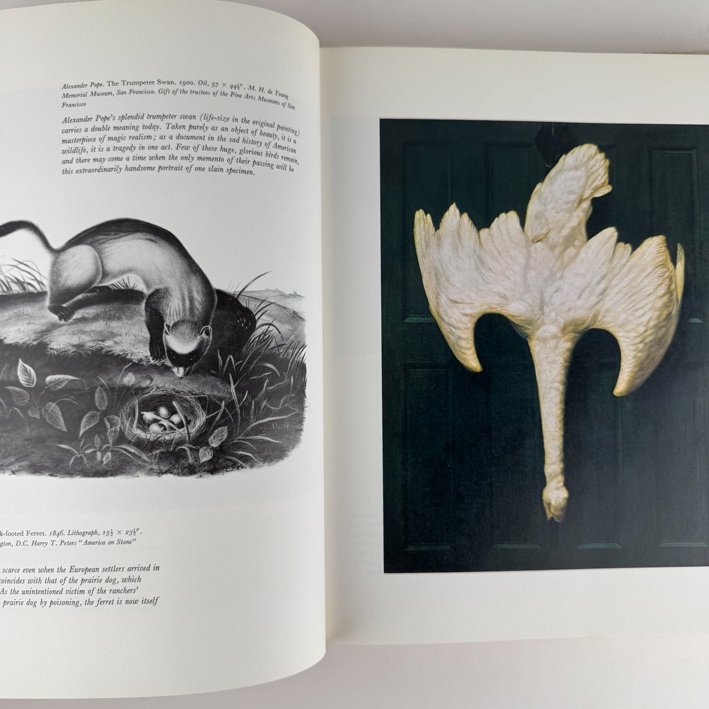 An American Bestiary, 1979, Illustrated Coffee Table Book - Pretty Old Books