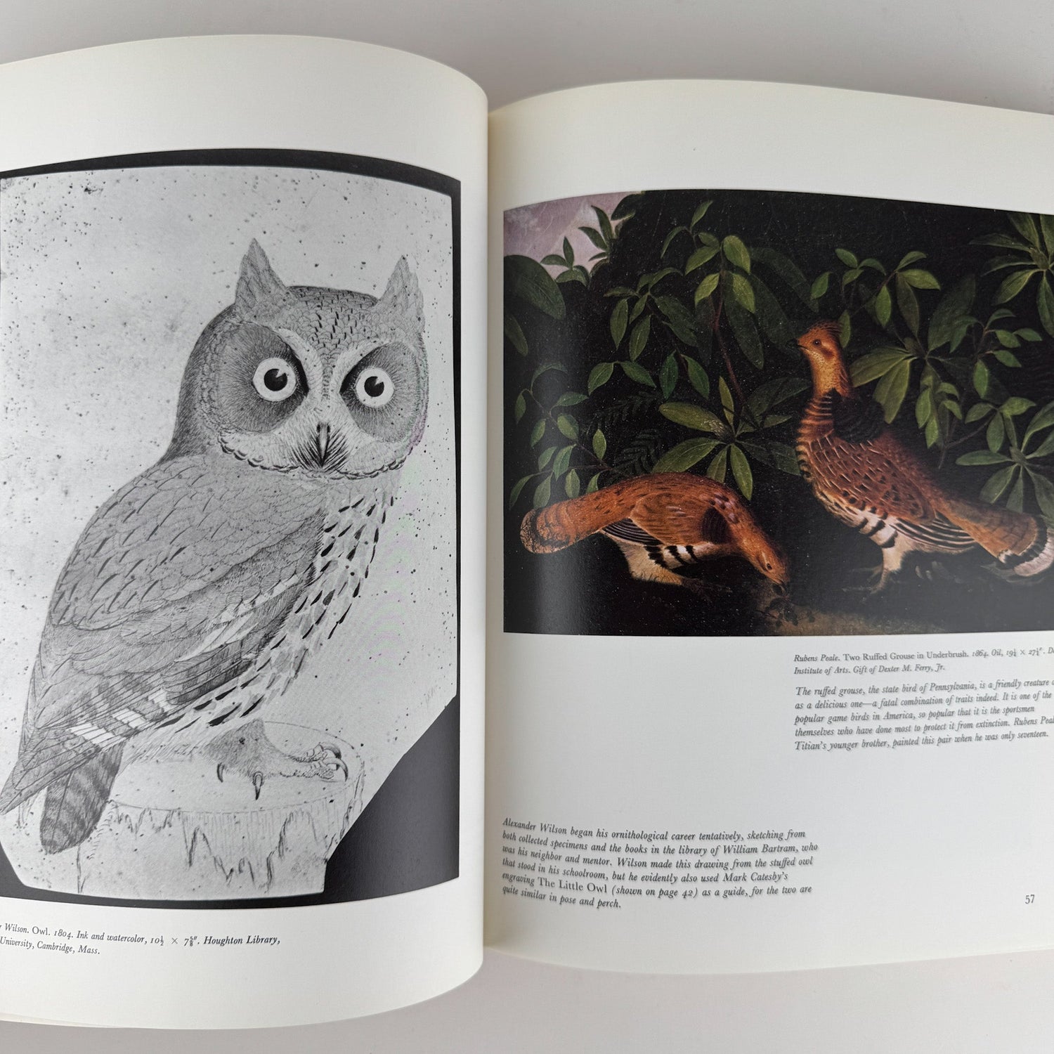 An American Bestiary, 1979, Illustrated Coffee Table Book - Pretty Old Books