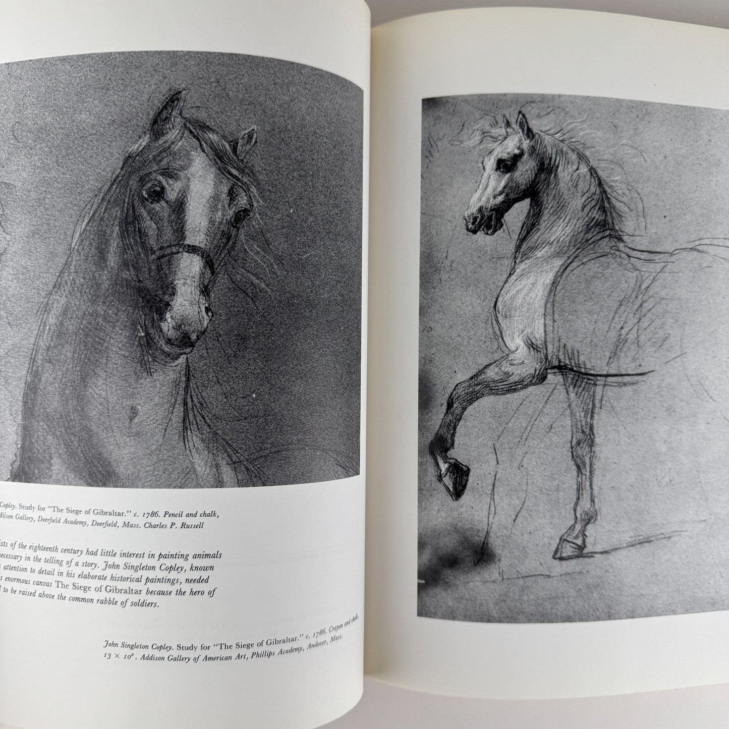 An American Bestiary, 1979, Illustrated Coffee Table Book - Pretty Old Books