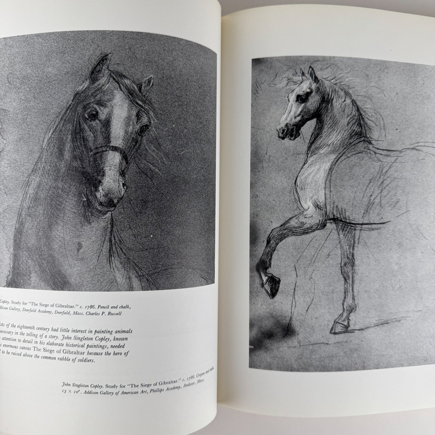 An American Bestiary, 1979, Illustrated Coffee Table Book - Pretty Old Books