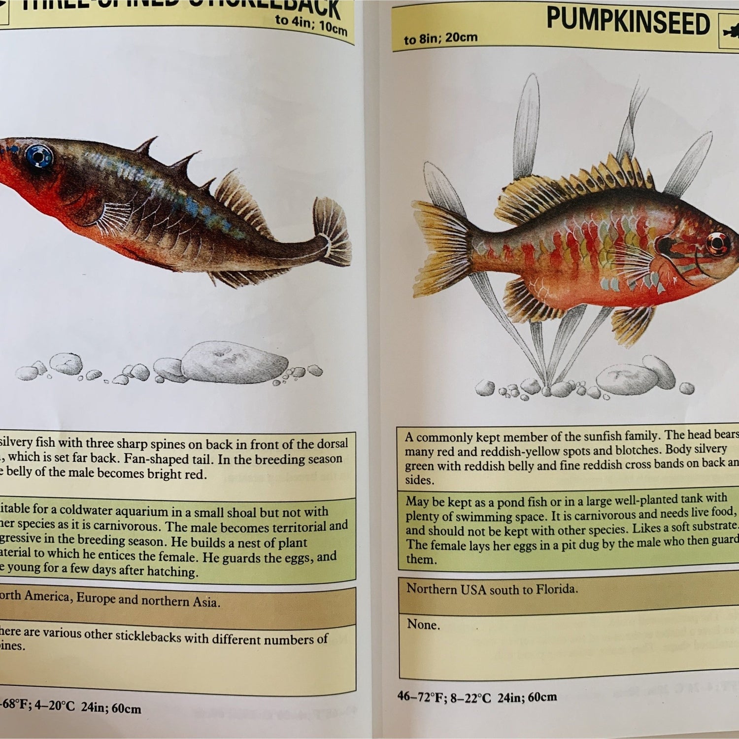 An Instant Guide to Aquarium Fish, 2001, Hardcover Field Guide - Pretty Old Books