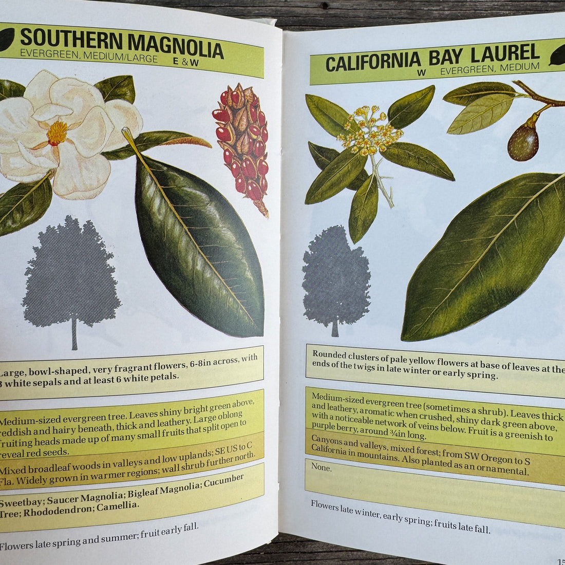 Tree Guide Booklets An Instant Guide to Trees Hardcover Field Guide, 1985 – Pretty Old Books