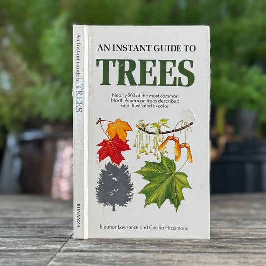 An Instant Guide to Trees Hardcover Field Guide, 1985 - Pretty Old Books