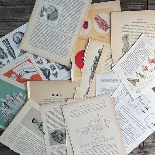 Anatomy and Medicine Book Paperie for Crafting, Junk Journal Supplies, Antique and Vintage Paper Pack - Pretty Old Books