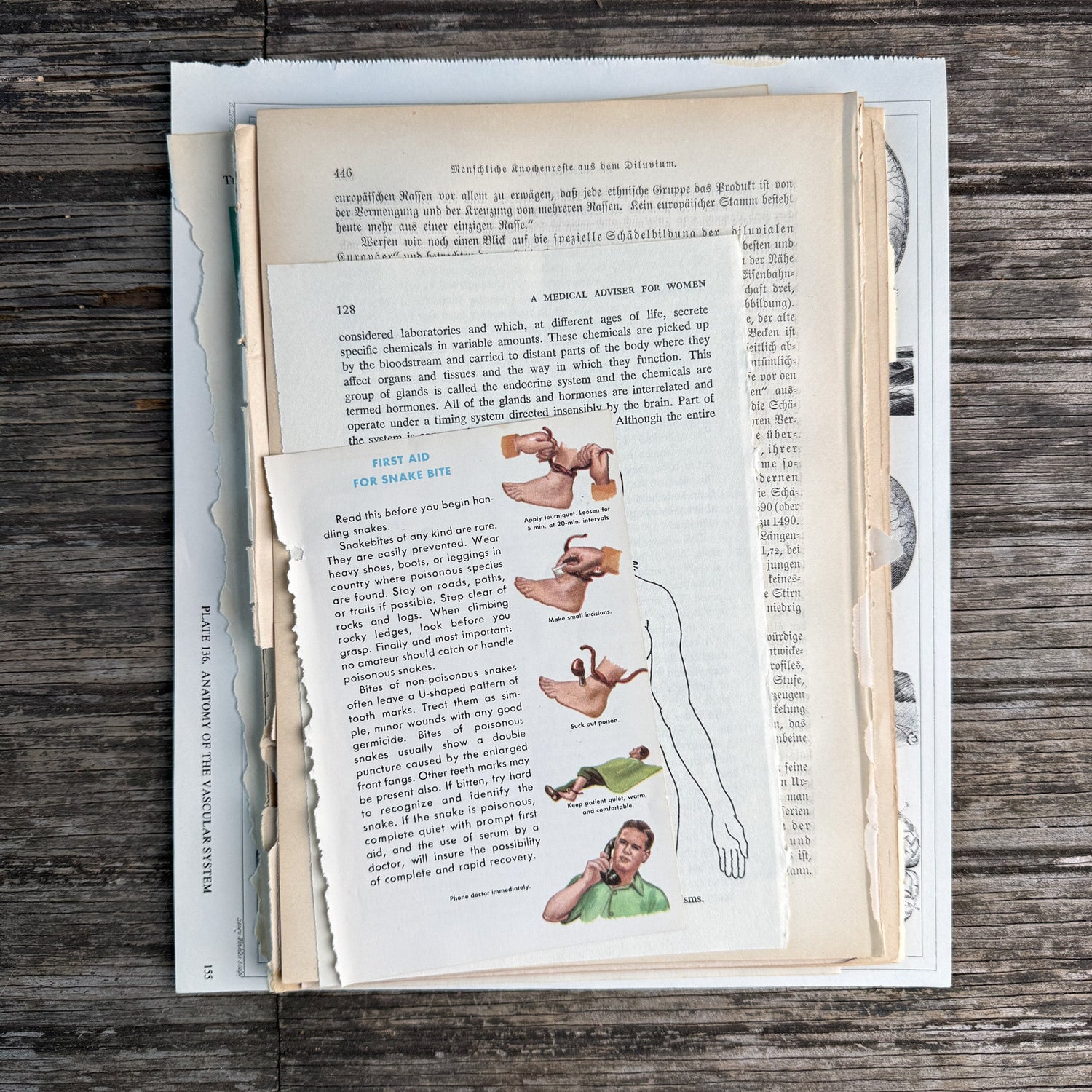 Anatomy and Medicine Book Paperie for Crafting, Junk Journal Supplies, Antique and Vintage Paper Pack - Pretty Old Books