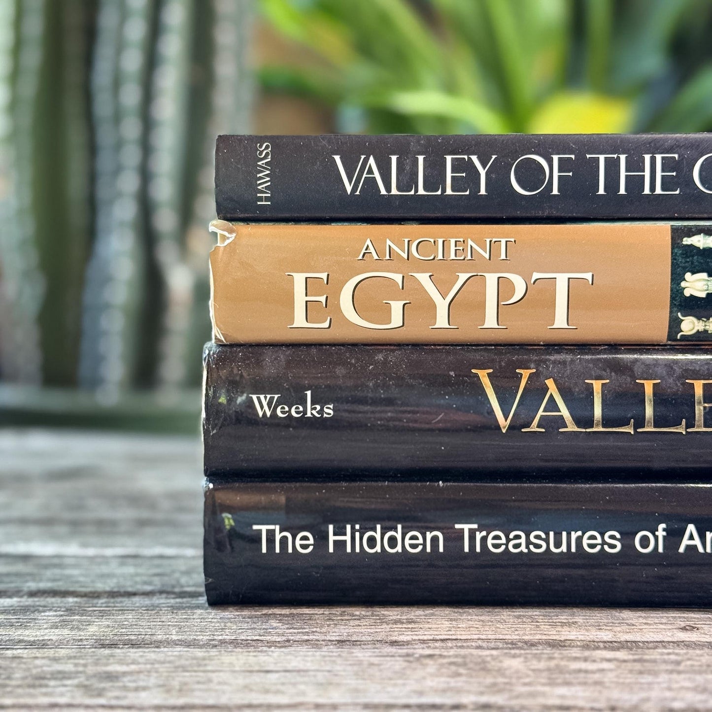 Ancient Egypt and Antiquity Coffee Table Bundle - Pretty Old Books
