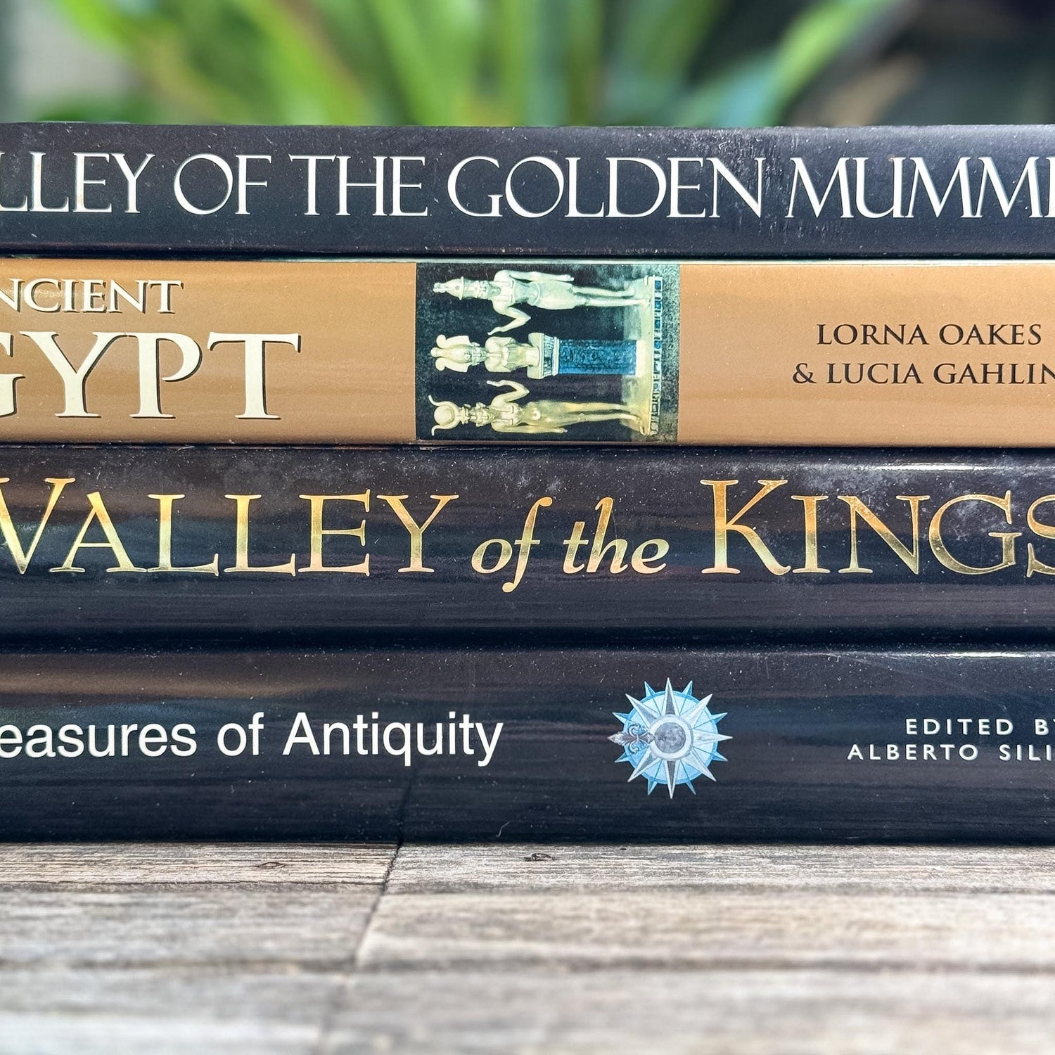 Ancient Egypt and Antiquity Coffee Table Bundle - Pretty Old Books