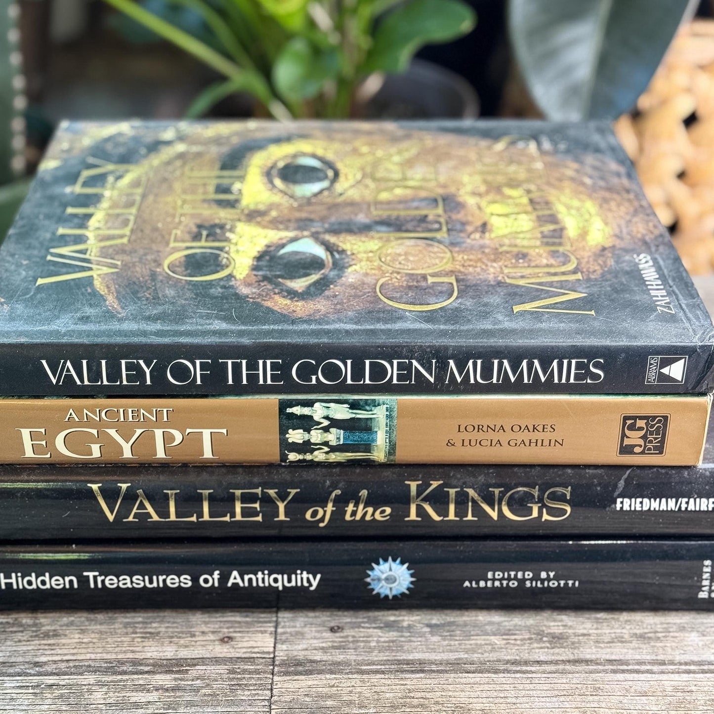 Ancient Egypt and Antiquity Coffee Table Bundle - Pretty Old Books
