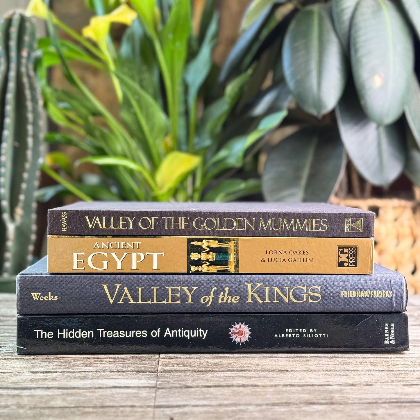 Ancient Egypt and Antiquity Coffee Table Bundle - Pretty Old Books