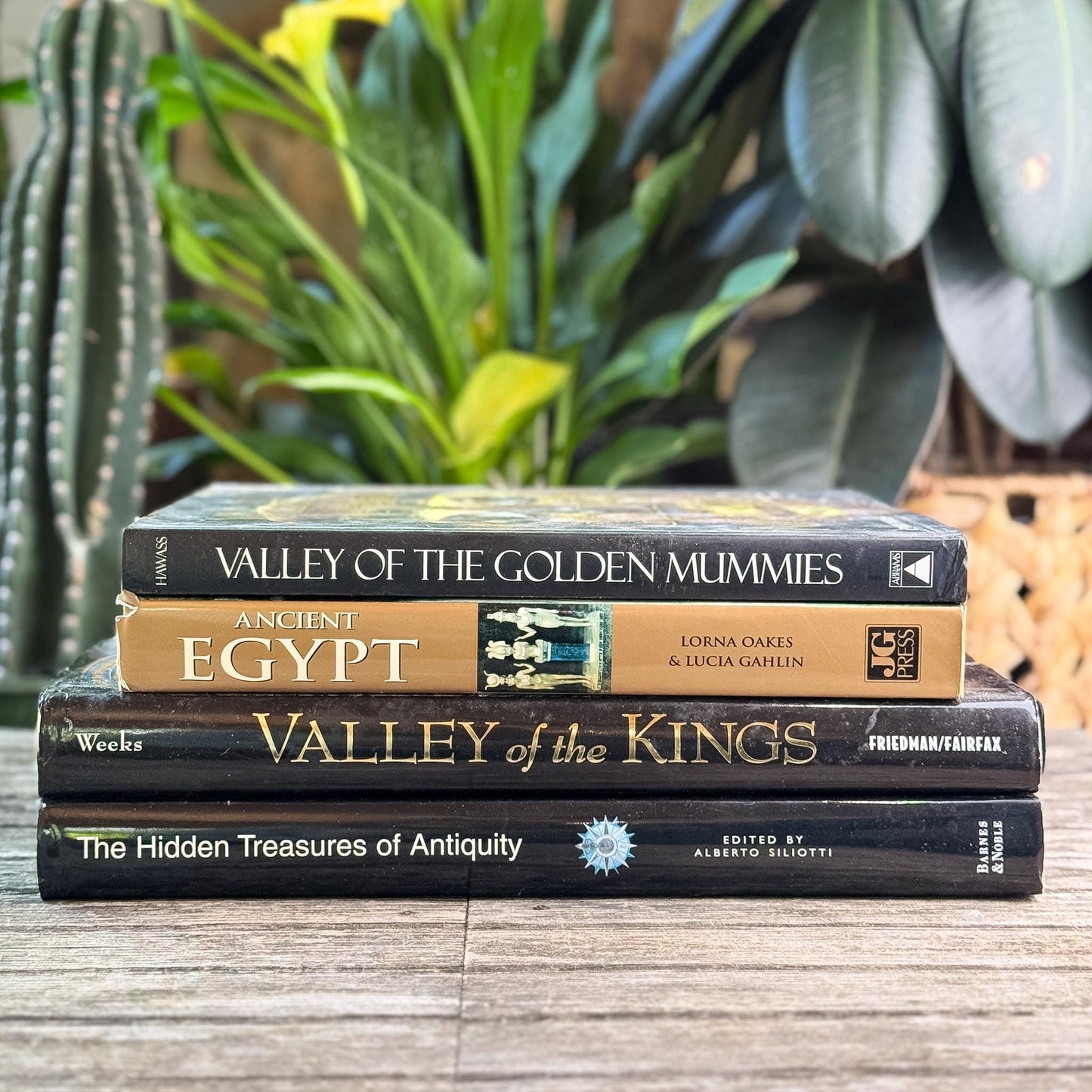 Ancient Egypt and Antiquity Coffee Table Bundle - Pretty Old Books