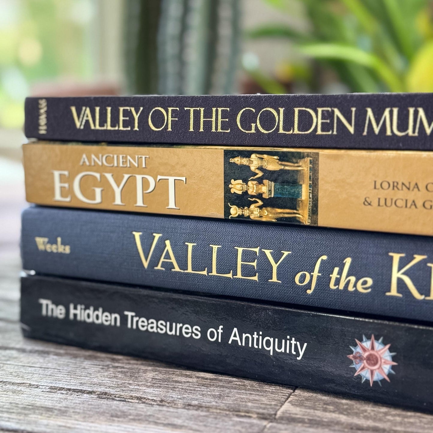 Ancient Egypt and Antiquity Coffee Table Bundle - Pretty Old Books