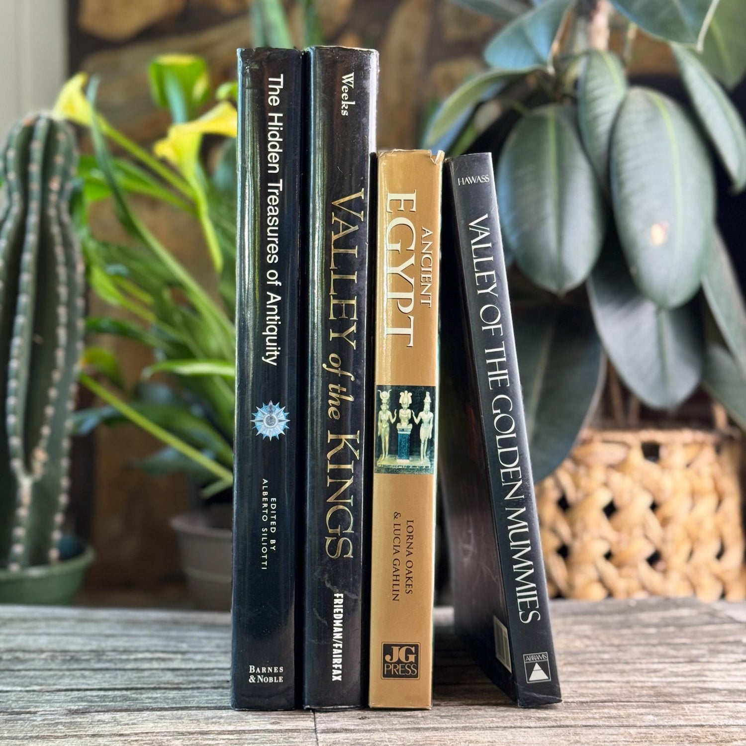 Ancient Egypt and Antiquity Coffee Table Bundle - Pretty Old Books