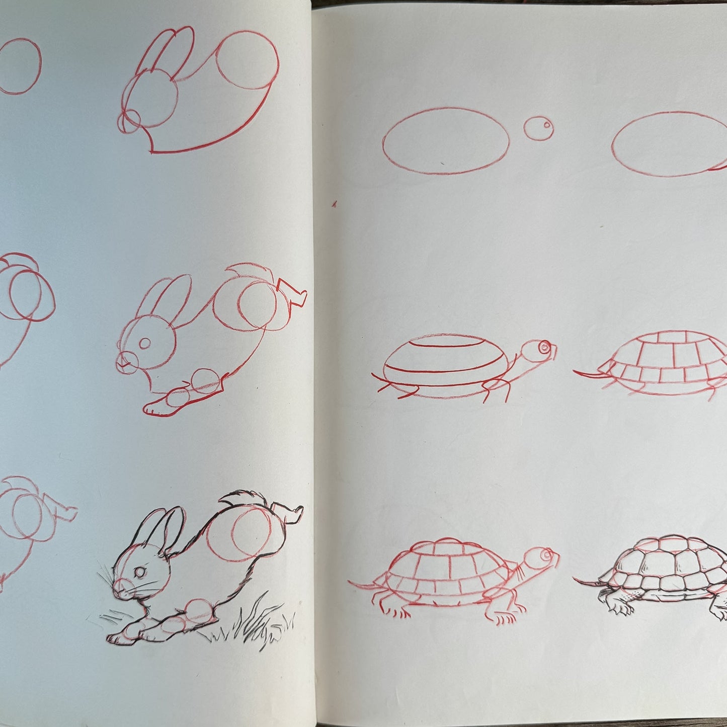 Animal Art, Children's Drawing Book, Lee J. Ames, 1974 - Pretty Old Books