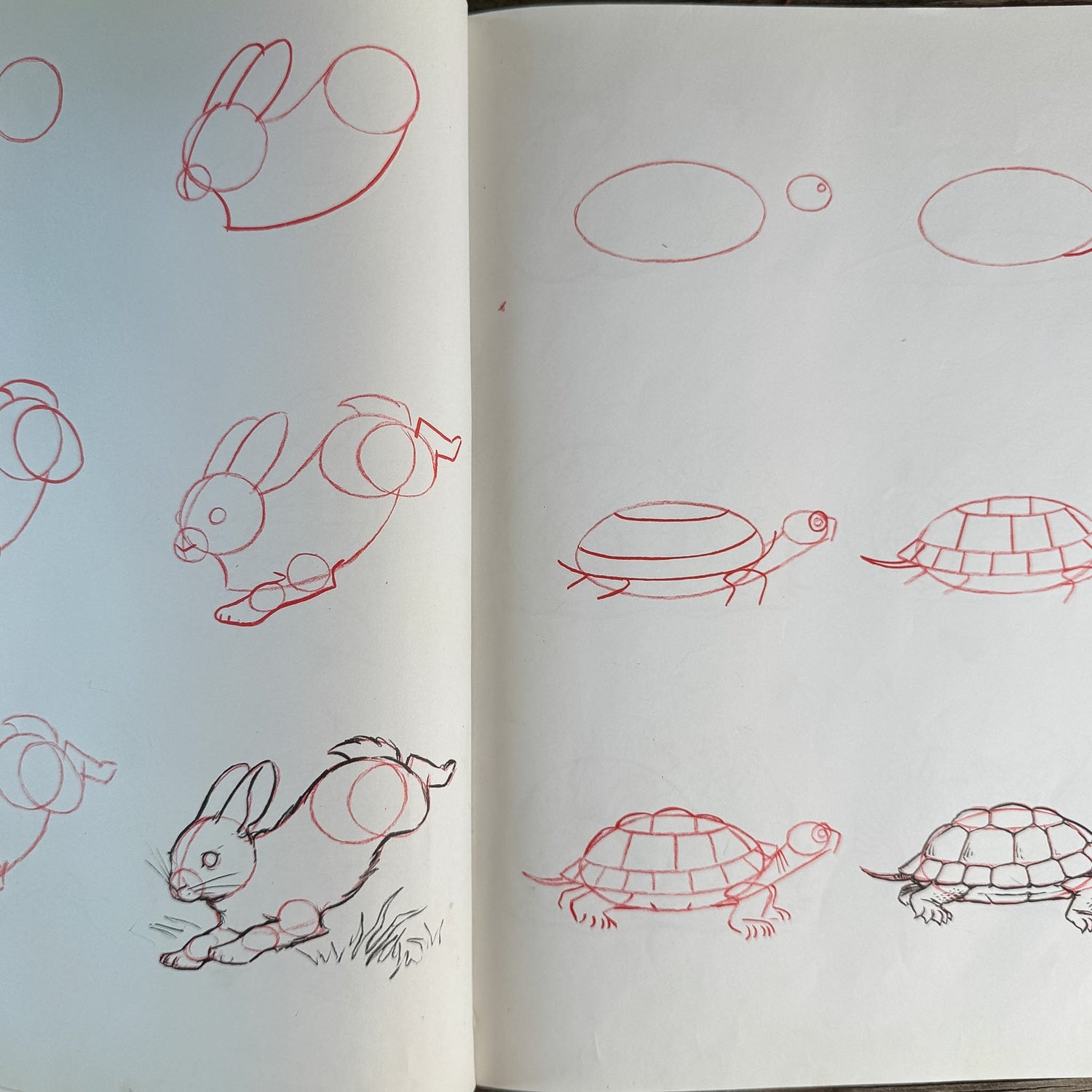 Animal Art, Children's Drawing Book, Lee J. Ames, 1974 - Pretty Old Books