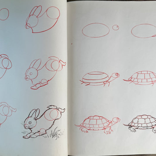 Animal Art, Children's Drawing Book, Lee J. Ames, 1974 - Pretty Old Books