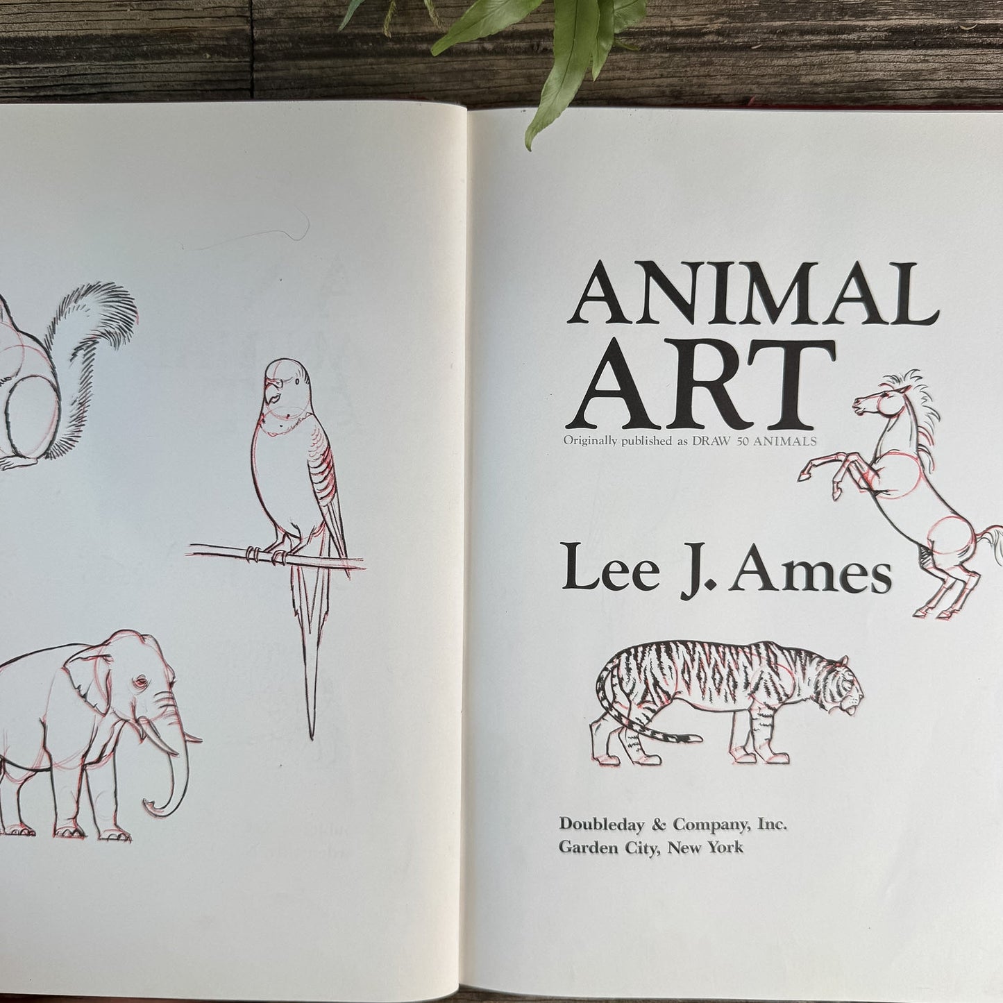 Animal Art, Children's Drawing Book, Lee J. Ames, 1974 - Pretty Old Books