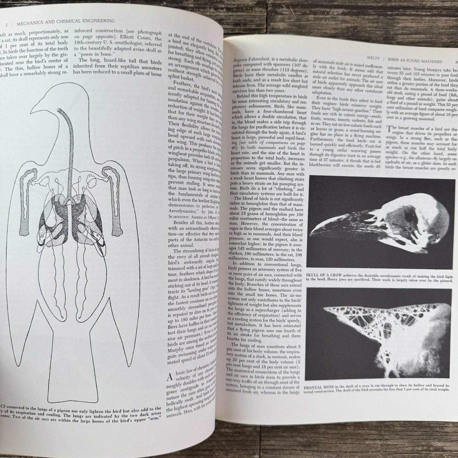 Animal Engineering: Readings from Scientific American, 1974 - Pretty Old Books