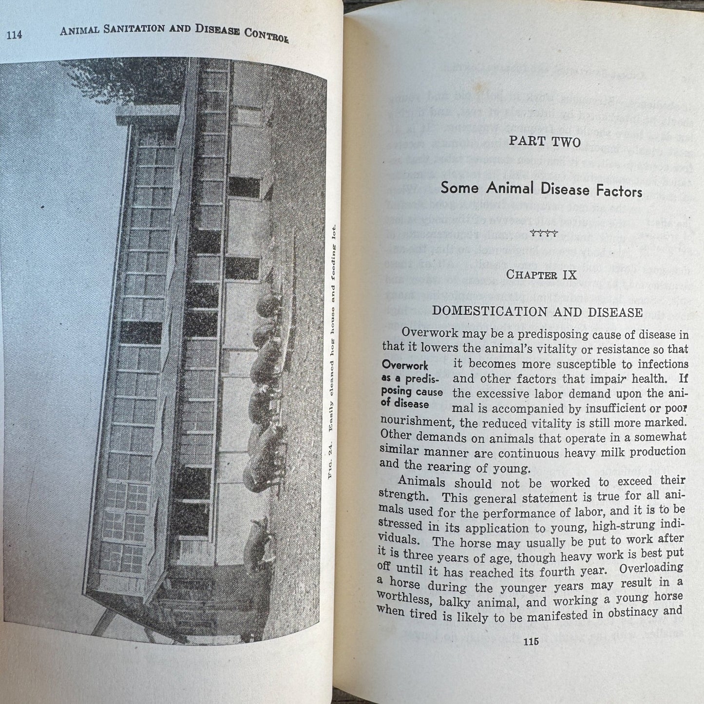Animal Sanitation and Disease Control, 1946 Veterinary Textbook - Pretty Old Books