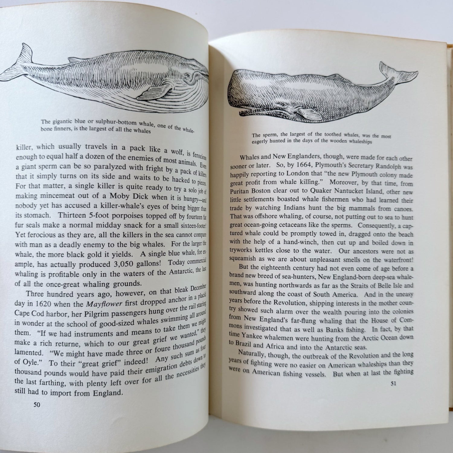 Animals That Made U.S. History, 1964 Children's Hardcover Nonfiction - Pretty Old Books