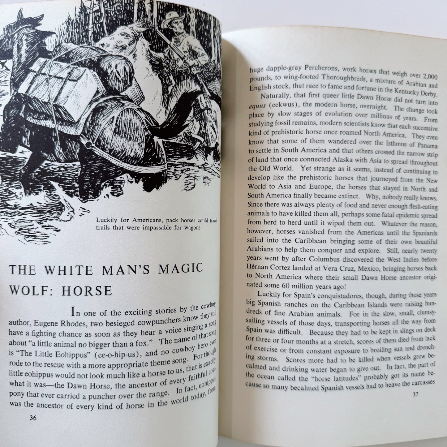 Animals That Made U.S. History, 1964 Children's Hardcover Nonfiction - Pretty Old Books