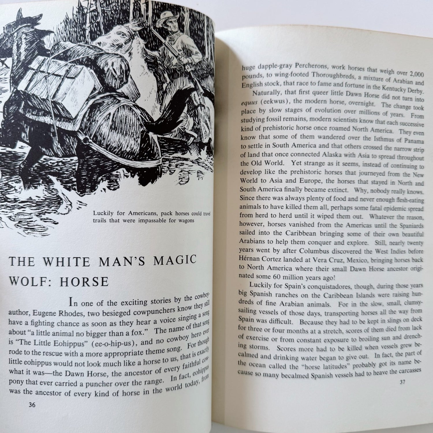 Animals That Made U.S. History, 1964 Children's Hardcover Nonfiction - Pretty Old Books