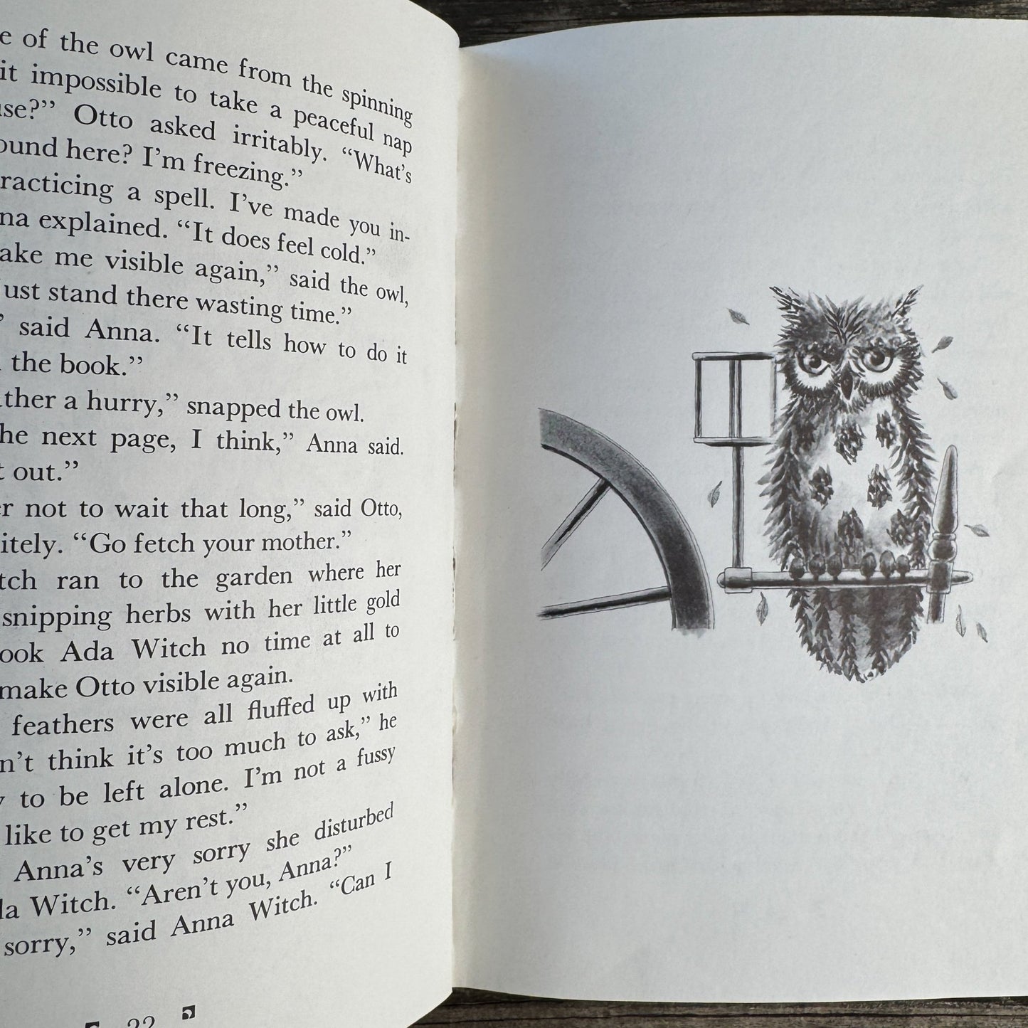 Anna Witch, Madeleine Edmondson, Illustrated by William Pène du Bois, 1982 First Edition - Pretty Old Books
