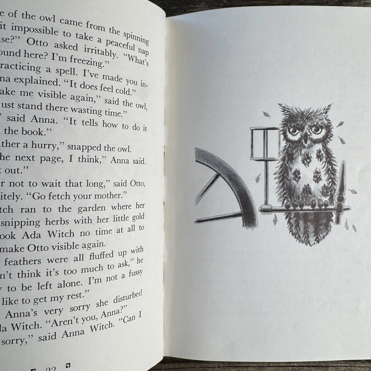 Anna Witch, Madeleine Edmondson, Illustrated by William Pène du Bois, 1982 First Edition - Pretty Old Books