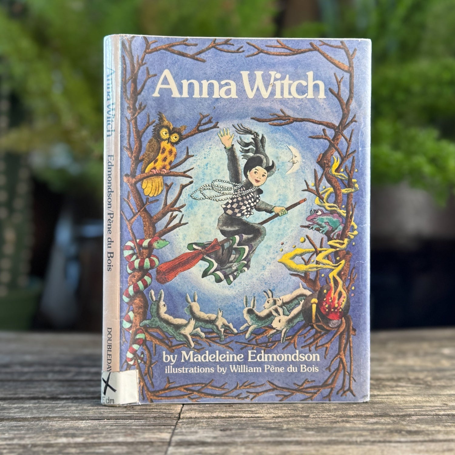 Anna Witch, Madeleine Edmondson, Illustrated by William Pène du Bois, 1982 First Edition - Pretty Old Books