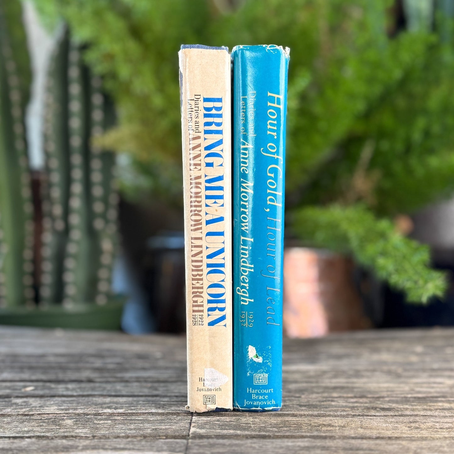 Anne Morrow Lindbergh, Diaries and Letters, Hour of Gold, Hour of Lead and Bring Me A Unicorn - Pretty Old Books