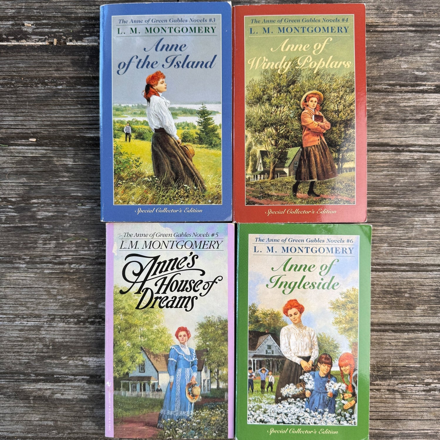 Anne of Green Gables Vintage Paperback Set, L.M. Montgomery - Pretty Old Books