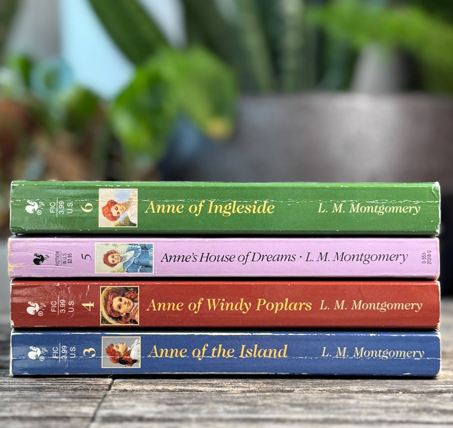 Anne of Green Gables Vintage Paperback Set, L.M. Montgomery - Pretty Old Books