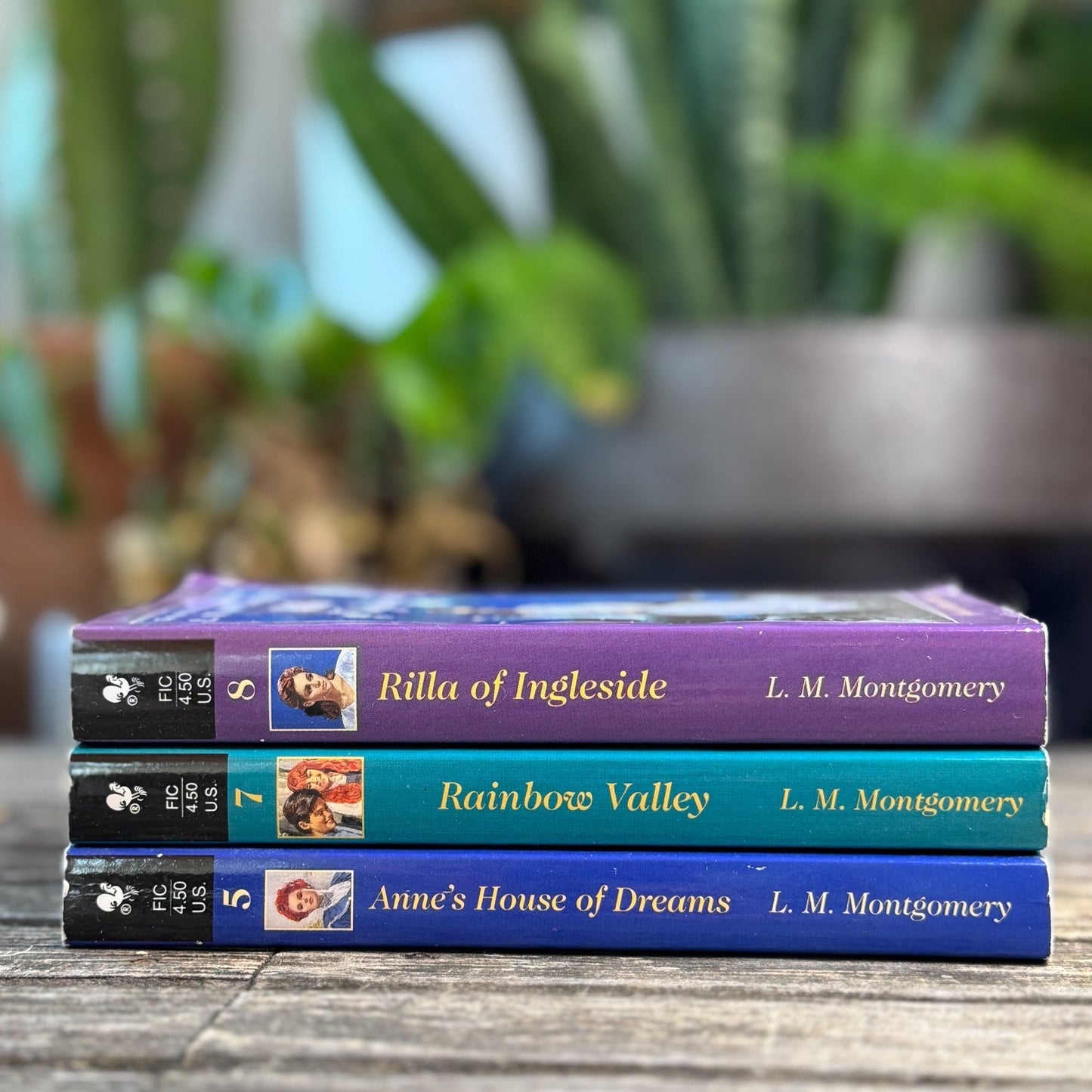 Anne of Green Gables Vintage Paperback Set of 3, L.M. Montgomery, 1998 - Pretty Old Books