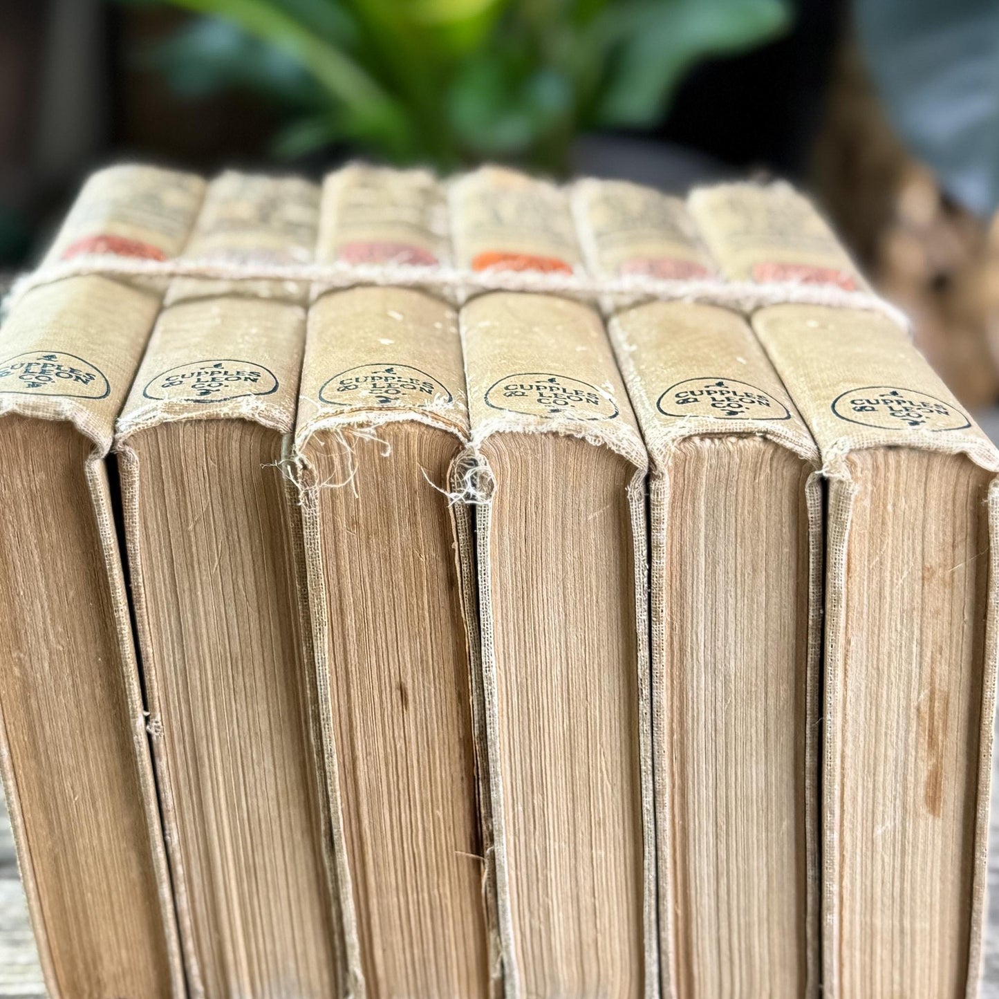 Antique 1920s Shabby Ruth Fielding Books for Girls - Pretty Old Books