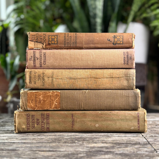 Antique and Vintage Tan & Brown Neutral Book Set - Pretty Old Books