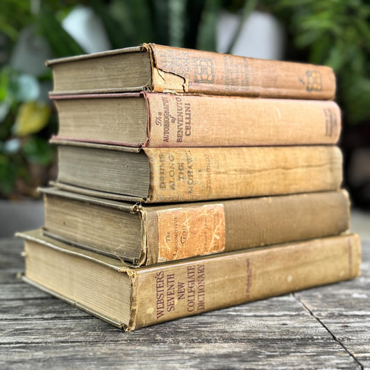 Antique and Vintage Tan & Brown Neutral Book Set - Pretty Old Books