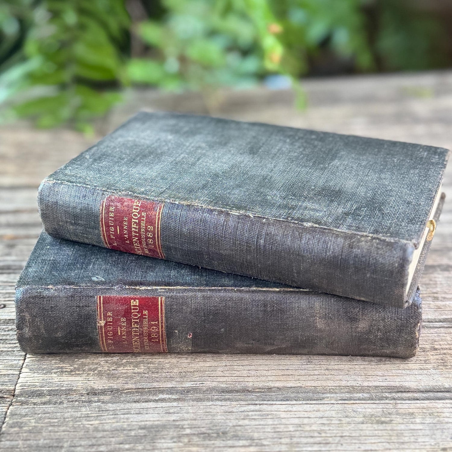Antique Black French Book Set of Two L'Année Scientifique et Industrielle, 1882 and 1889 - Pretty Old Books