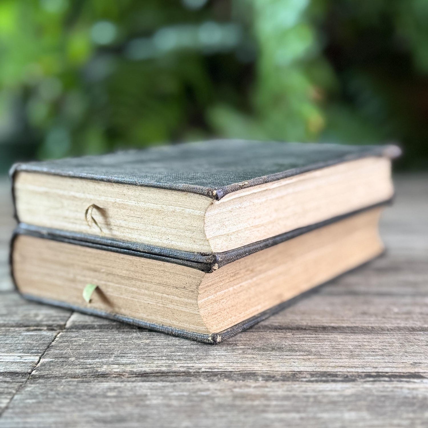 Antique Black French Book Set of Two L'Année Scientifique et Industrielle, 1882 and 1889 - Pretty Old Books