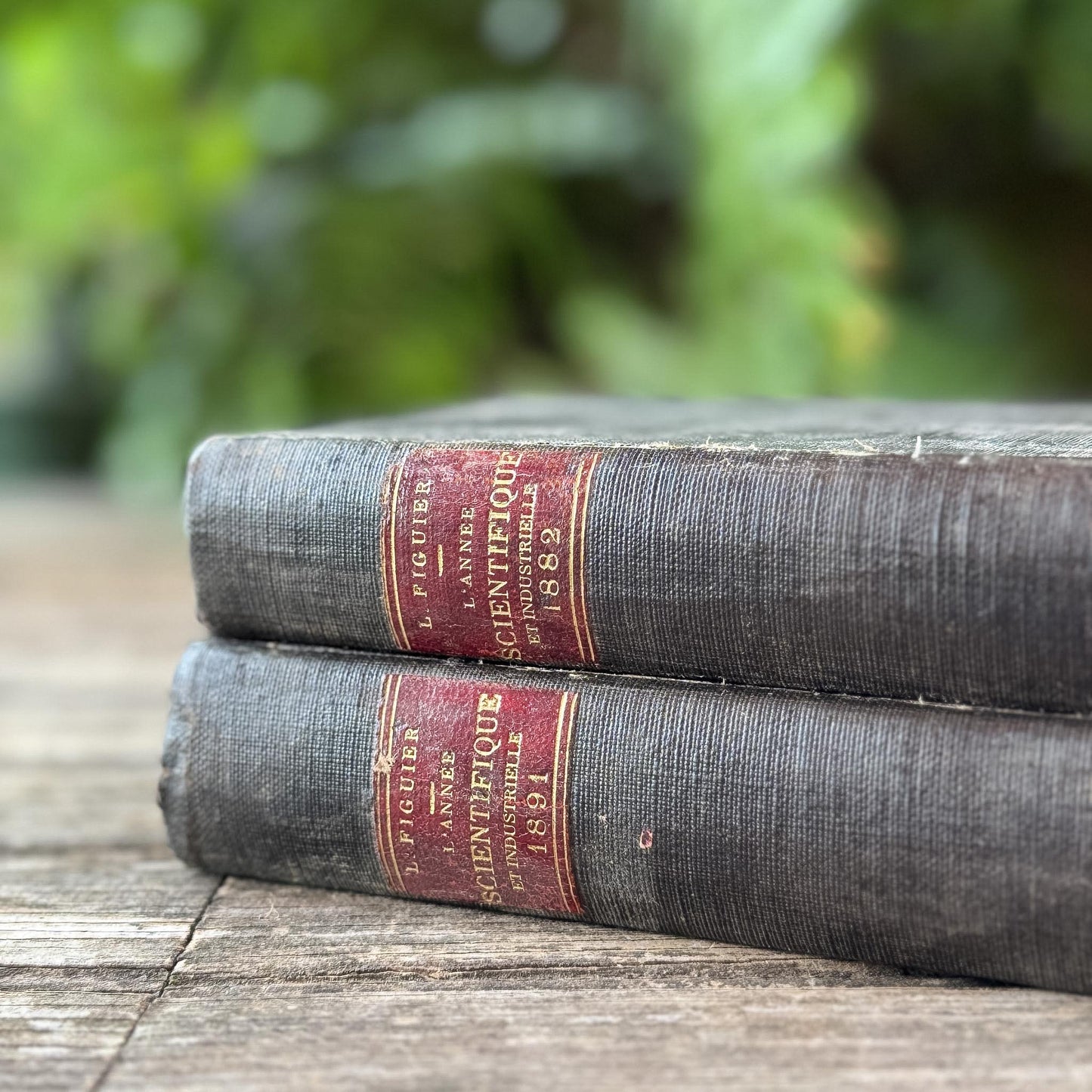Antique Black French Book Set of Two L'Année Scientifique et Industrielle, 1882 and 1889 - Pretty Old Books