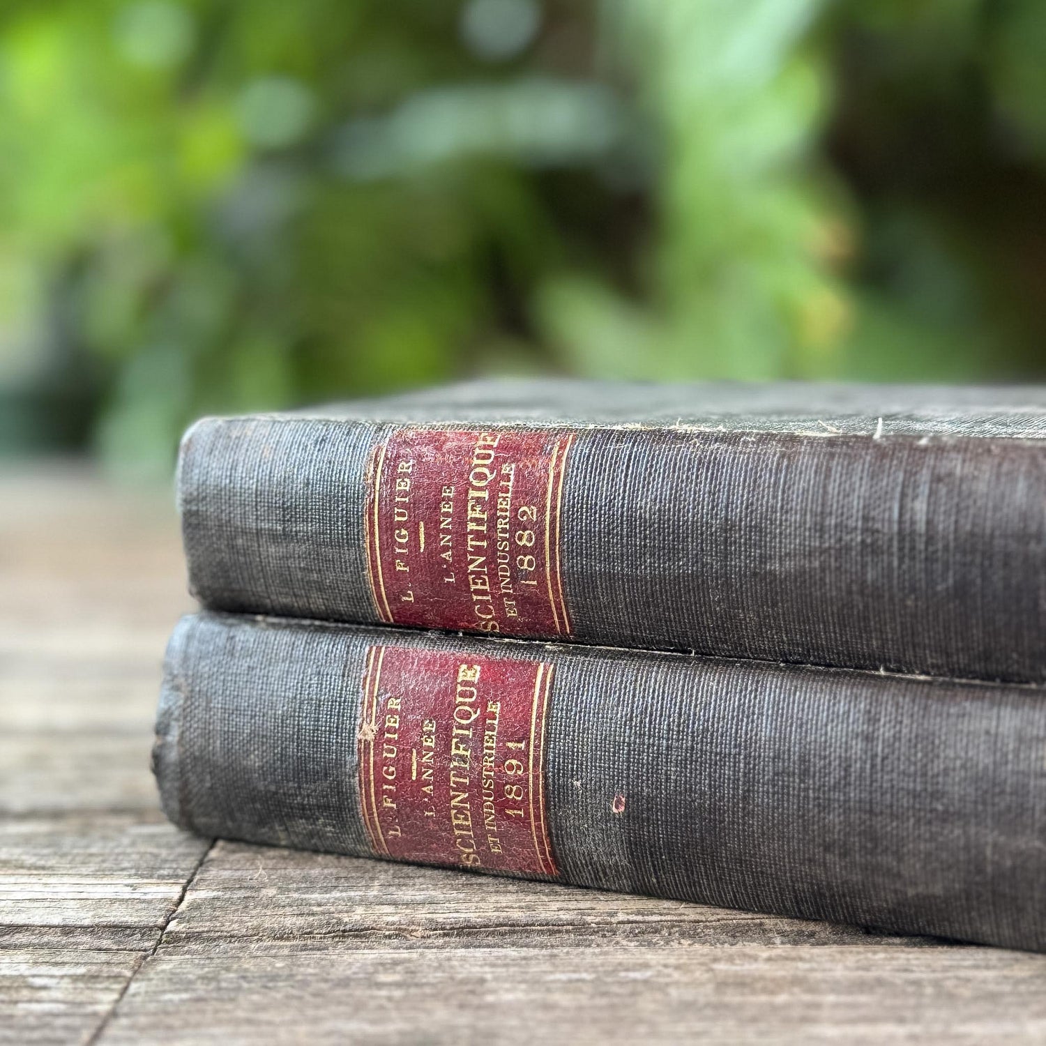 Antique Black French Book Set of Two L'Année Scientifique et Industrielle, 1882 and 1889 - Pretty Old Books